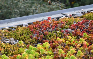 the cost of Aire View green roof installation