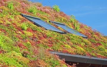 Aire View living roof systems