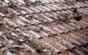 Aire View roof cleaning companies