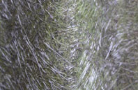 Aire View fibreglass roof work